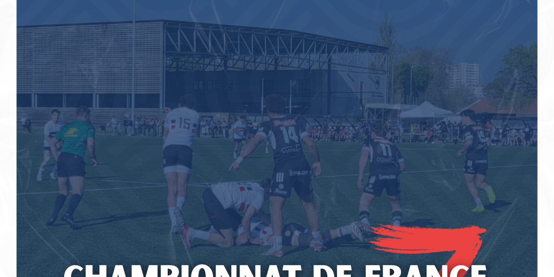 Crabos Alamercery (5)